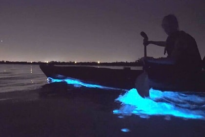 Auckland Bioluminescence Kayak Tour