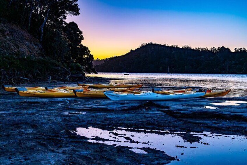 Auckland Bioluminescence Kayak Tour