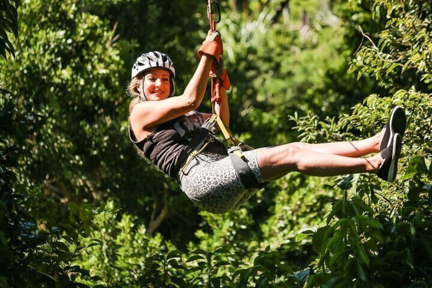 Zip Line, Chocolate and Tequila Tasting by Buggy in Cozumel