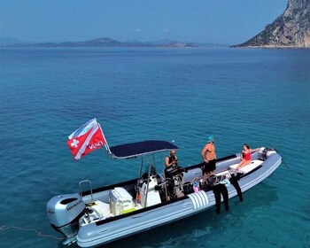 Tour privato di Tavolara e Molara per lo snorkeling e le immersioni