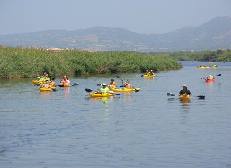 Picture 3 for Activity Valledoria: Coghinas River Kayak Rental