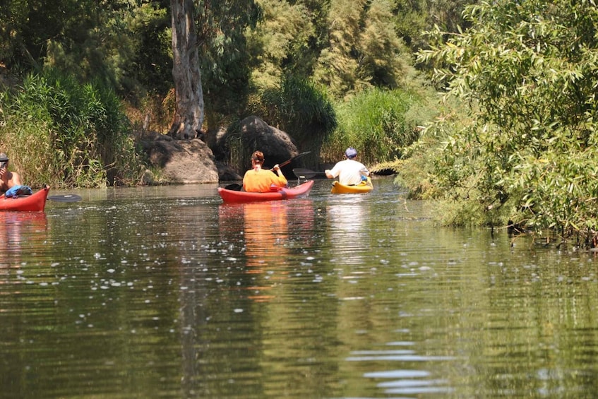 Valledoria: Coghinas River Kayak Rental