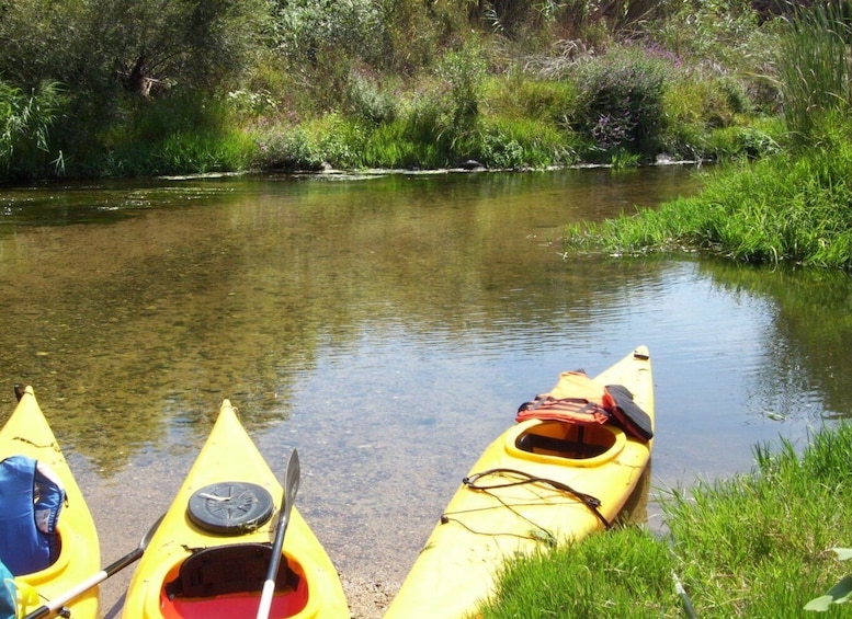 Picture 6 for Activity Valledoria: Coghinas River Kayak Rental