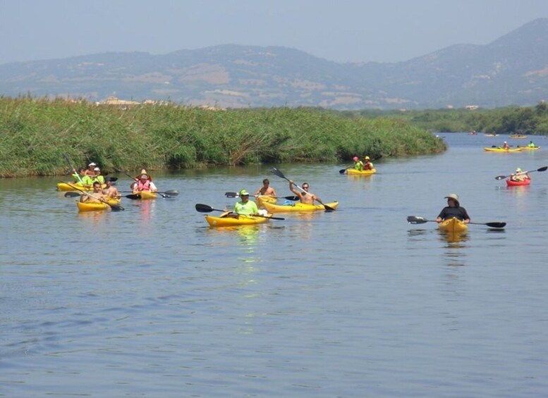 Picture 3 for Activity Valledoria: Coghinas River Kayak Rental