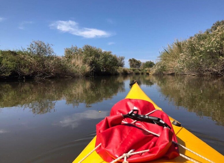 Picture 1 for Activity Valledoria: Coghinas River Kayak Rental