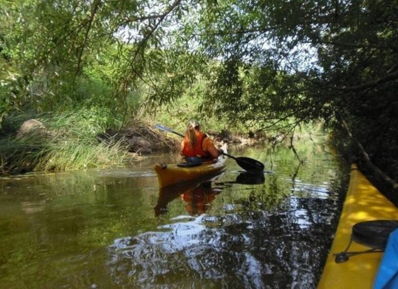 Picture 4 for Activity Valledoria: Coghinas River Kayak Rental