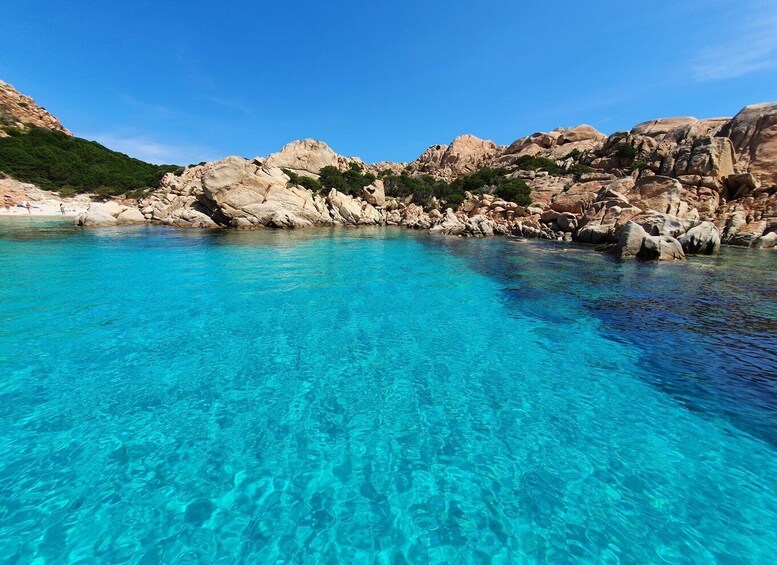 Picture 4 for Activity From Cannigione: La Maddalena Archipelago Luxury Dinghy Tour