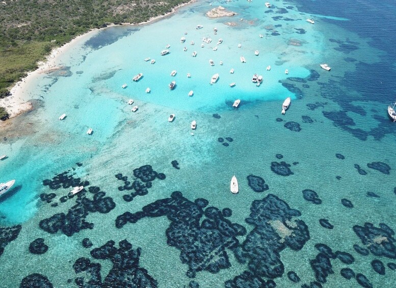 Picture 8 for Activity From Cannigione: La Maddalena Archipelago Luxury Dinghy Tour