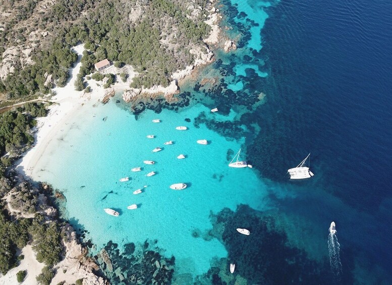 Picture 2 for Activity From Cannigione: La Maddalena Archipelago Luxury Dinghy Tour