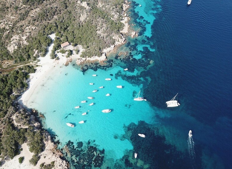 Picture 2 for Activity From Cannigione: La Maddalena Archipelago Luxury Dinghy Tour