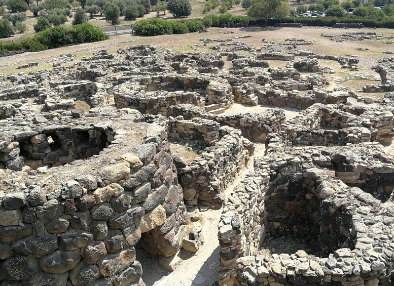 Picture 7 for Activity From Cagliar: Tour to the nuraghe of Barumini & Casa Zapata