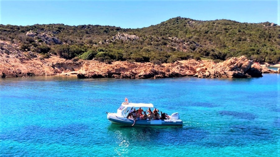 Picture 9 for Activity Olbia: Dolphin Watching Tour with Figarolo Island Snorkeling