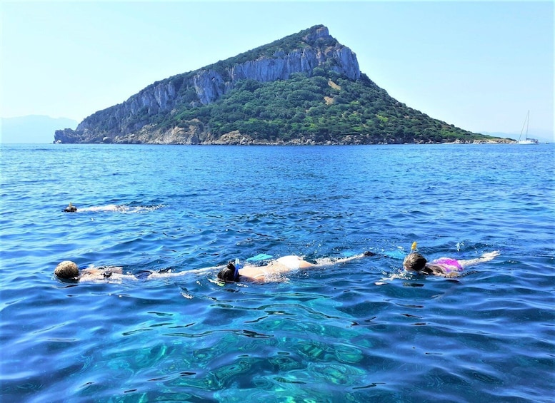 Picture 4 for Activity Olbia: Dolphin Watching Tour with Figarolo Island Snorkeling