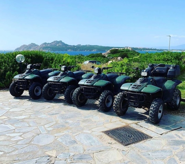 Picture 1 for Activity Santa Teresa di Gallura: Quad Tour