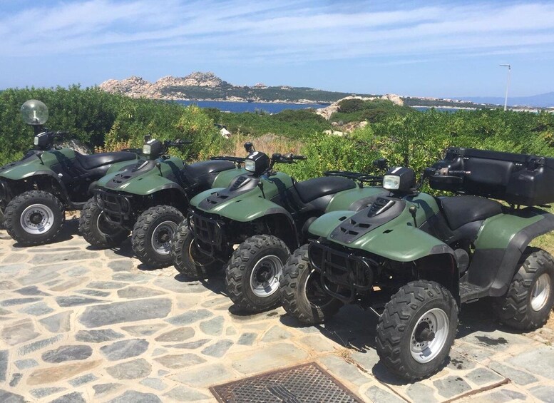 Picture 4 for Activity Santa Teresa di Gallura: Quad Tour