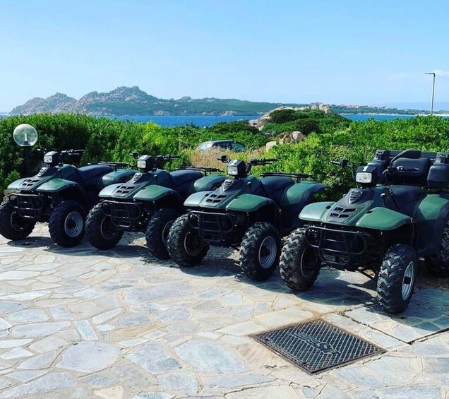 Picture 1 for Activity Santa Teresa di Gallura: Quad Tour