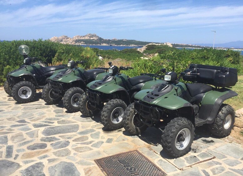 Picture 4 for Activity Santa Teresa di Gallura: Quad Tour