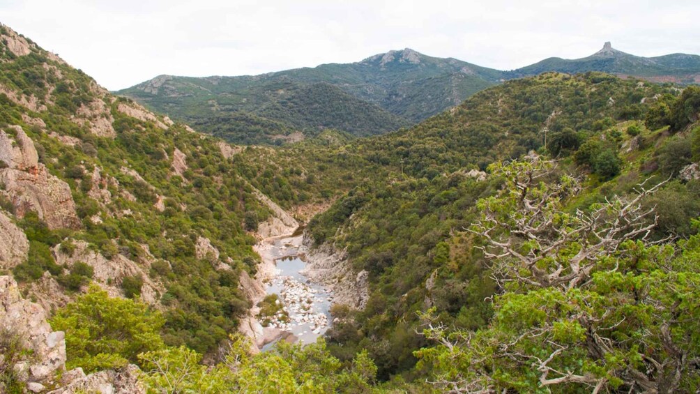 Picture 9 for Activity Arzana: Mt. Gennargentu, Piricanis Gorges, & Waterfall Hike