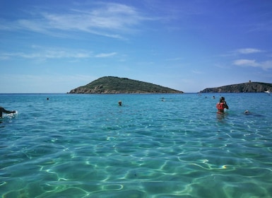 Fra Cagliari: Strandtur mellem Chia og Tueredda