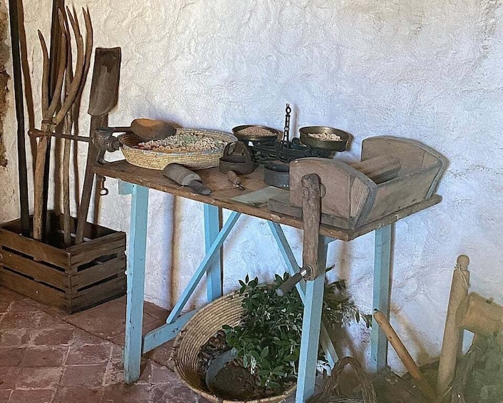 Picture 20 for Activity Olbia: Sardinian Pasta-Making Guided Workshop