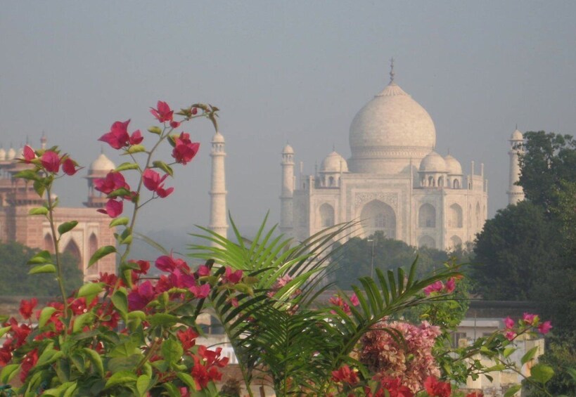 Picture 2 for Activity Same Day Agra tour from Delhi