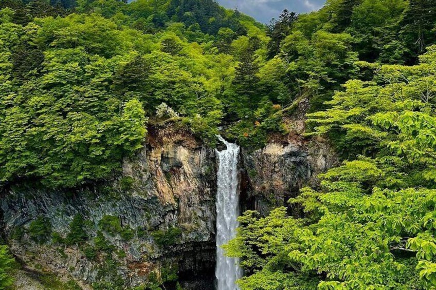 Private Sightseeing Tour to Nikko with English Speaking Driver