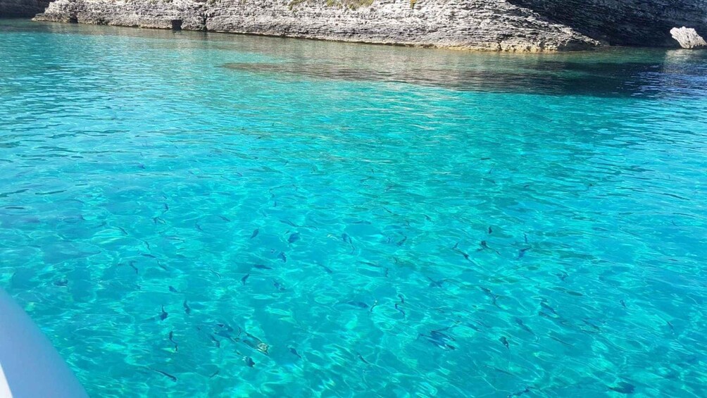 Picture 8 for Activity From Santa Teresa: Sailboat Tour to Corsica with Lunch