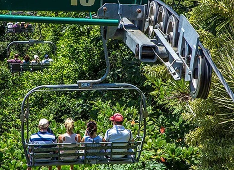 Picture 1 for Activity Rainforest Sky Explorer Mystic Mountain Tour fr Montego Bay