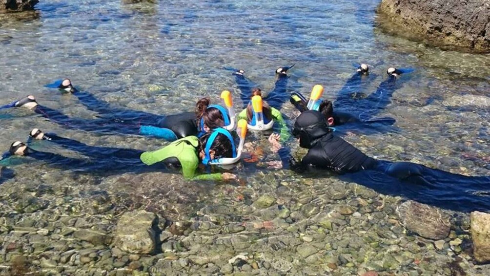 Picture 8 for Activity Porto Torres: Snorkeling in Balai Bay