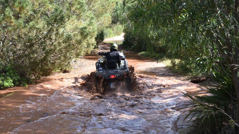 Picture 10 for Activity Alghero: Guided Quad Tour with Swim Stop