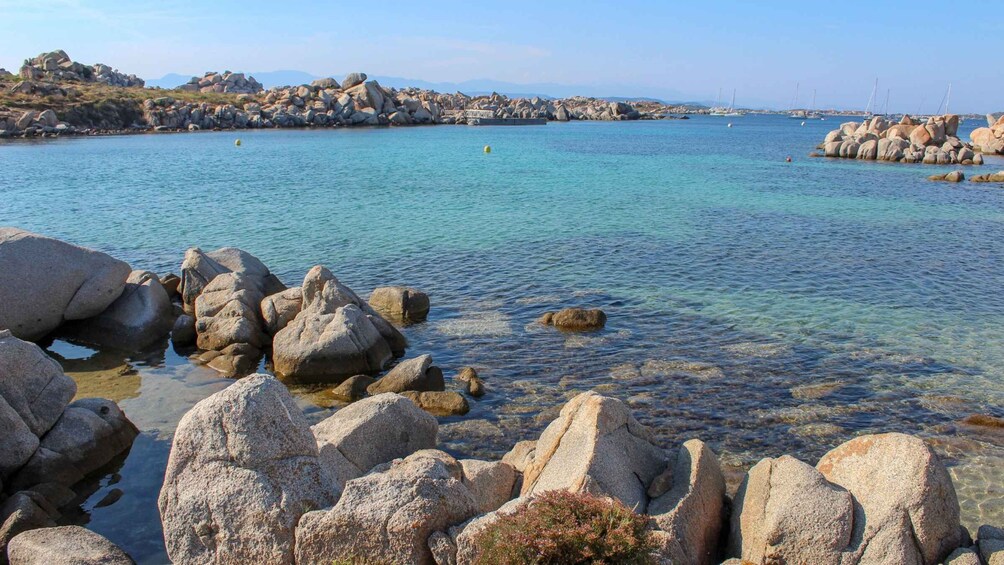 Picture 7 for Activity From Palau: South Corsica Trip by Wood Speedboat with Lunch