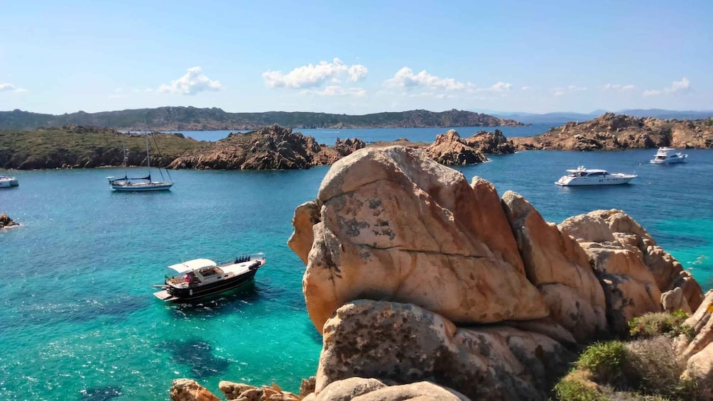 Picture 3 for Activity From Palau: South Corsica Trip by Wood Speedboat with Lunch