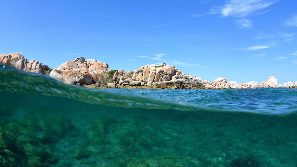 Picture 6 for Activity From Palau: South Corsica Trip by Wood Speedboat with Lunch