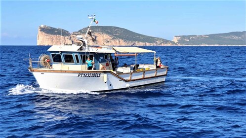 Alghero: Fisketur med båd i Alghero-bugten med frisk frokost