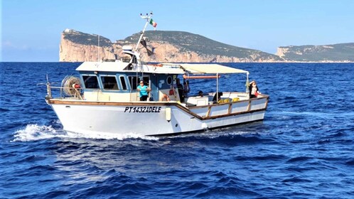 Alghero Perjalanan Perahu Nelayan Teluk Alghero dengan Makan Siang Segar