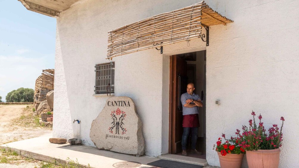 Picture 9 for Activity Sardinia: Dorgali Winery Tour with Tasting and Local Guide