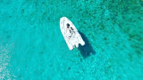 Maristella: Excursión en barco para hacer snorkel en el Parque de Porto Con...