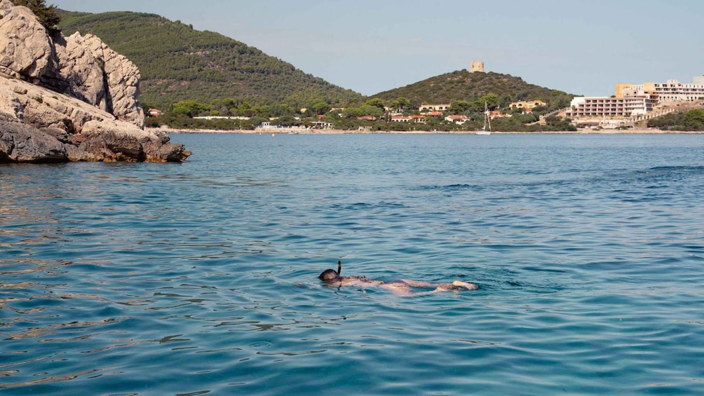 Picture 9 for Activity Maristella: Porto Conte Park Snorkeling Boat Tour