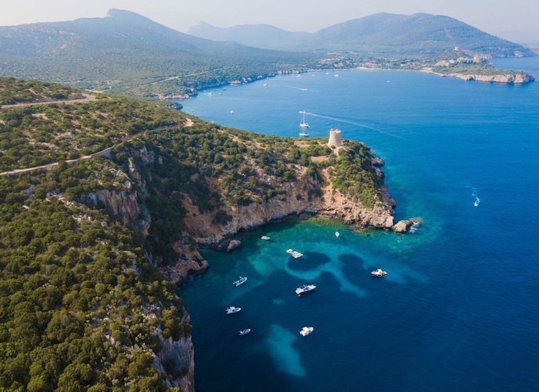 Picture 4 for Activity Maristella: Porto Conte Park Snorkeling Boat Tour