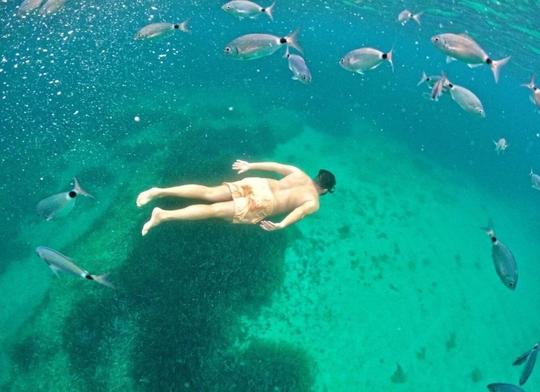 Picture 5 for Activity Maristella: Porto Conte Park Snorkeling Boat Tour