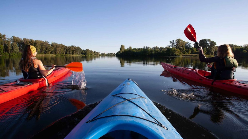 Picture 8 for Activity Bosa: Temo River Kayak Rental