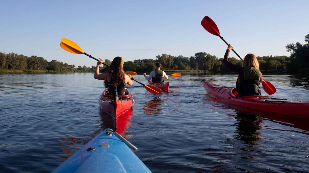 Picture 7 for Activity Bosa: Temo River Kayak Rental