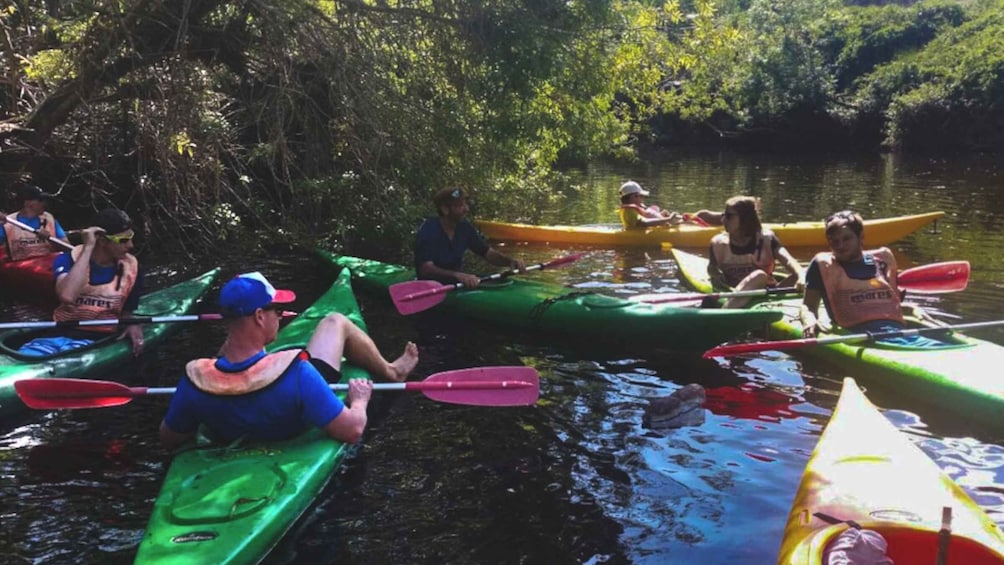 Picture 1 for Activity Bosa: Temo River Kayak Rental