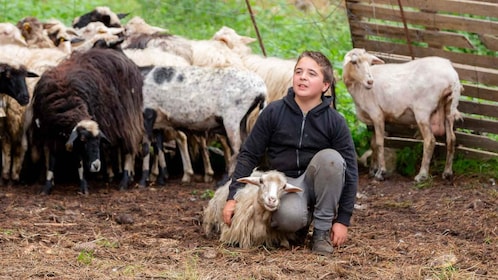 Arzana: Day with a shepherd w/ lunch in a farm
