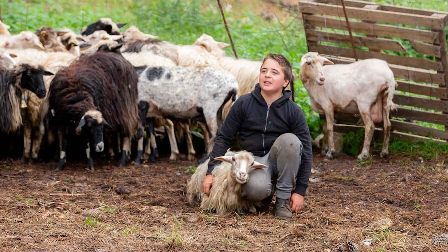 Arzana: Day with a shepherd w/ lunch in a farm