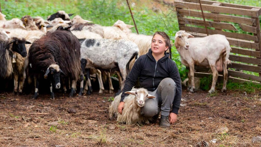 Arzana: Day with a shepherd w/ lunch in a farm