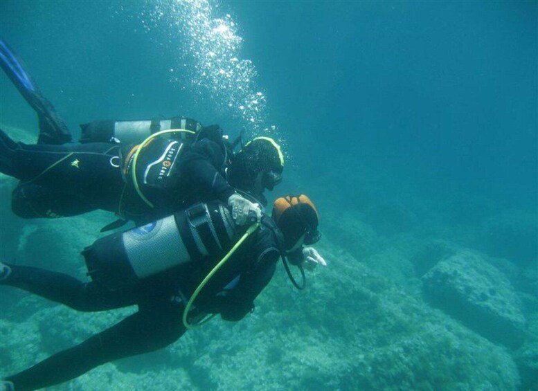 Picture 3 for Activity Alghero: discovery diving lesson for beginners