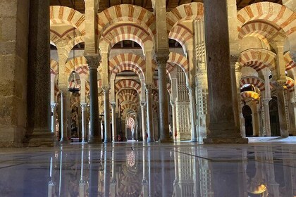 Private visit in Catalonia with ticket included to the Mosque-Cathedral