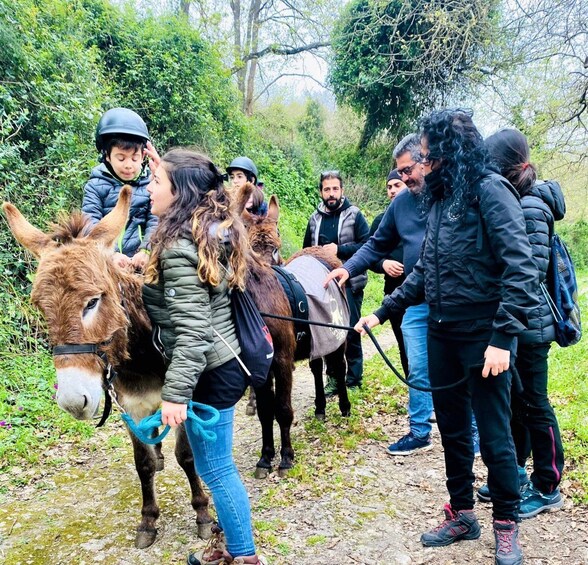 Picture 5 for Activity Cargeghe: Trekking with Donkeys Day Trip with Aperitif