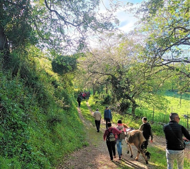 Picture 10 for Activity Cargeghe: Trekking with Donkeys Day Trip with Aperitif